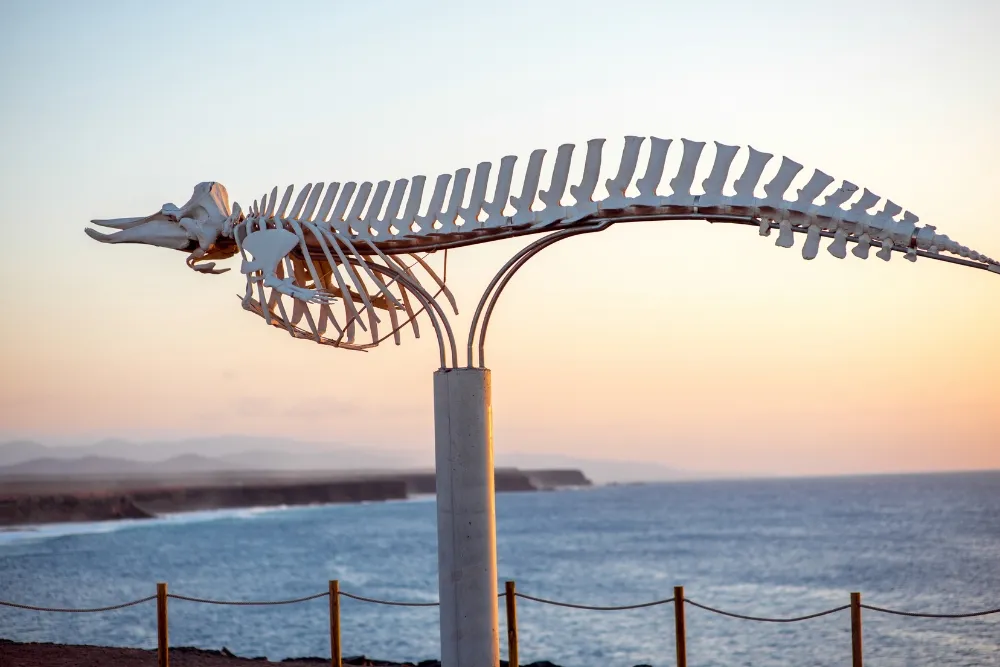 unique aluminium sculptures from jordan sprigg